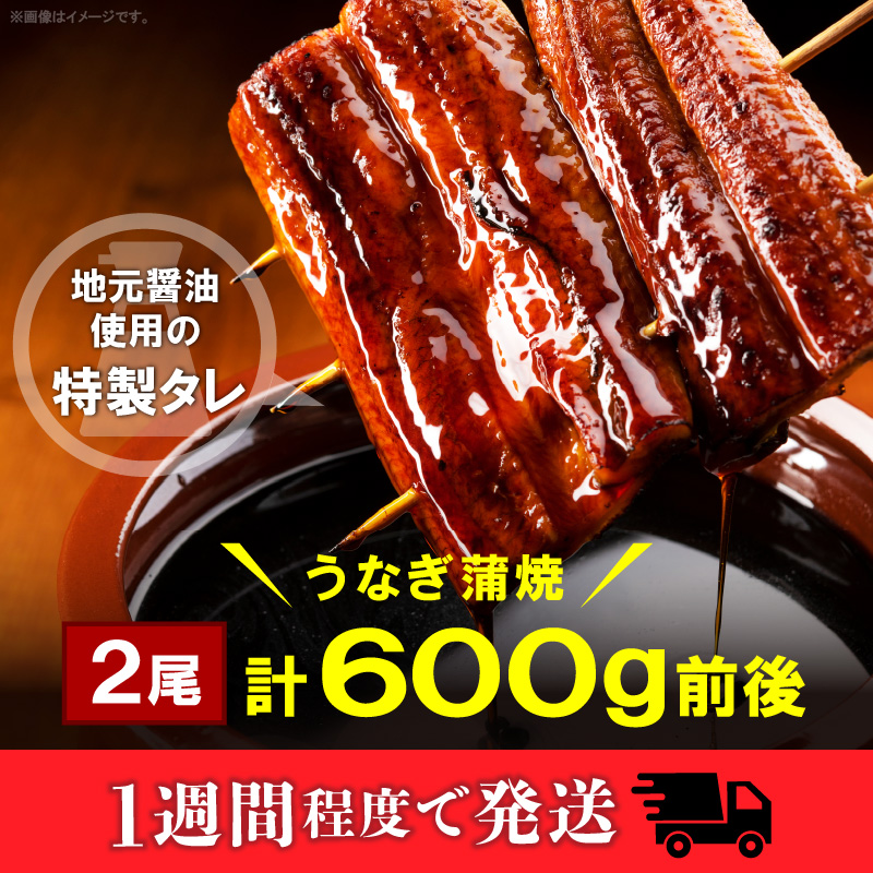 うなぎの蒲焼ビッグサイズ　2尾（計600g前後）K04705
