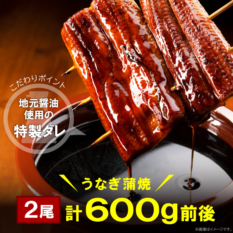 うなぎの蒲焼ビッグサイズ　2尾（計600g前後）K04705
