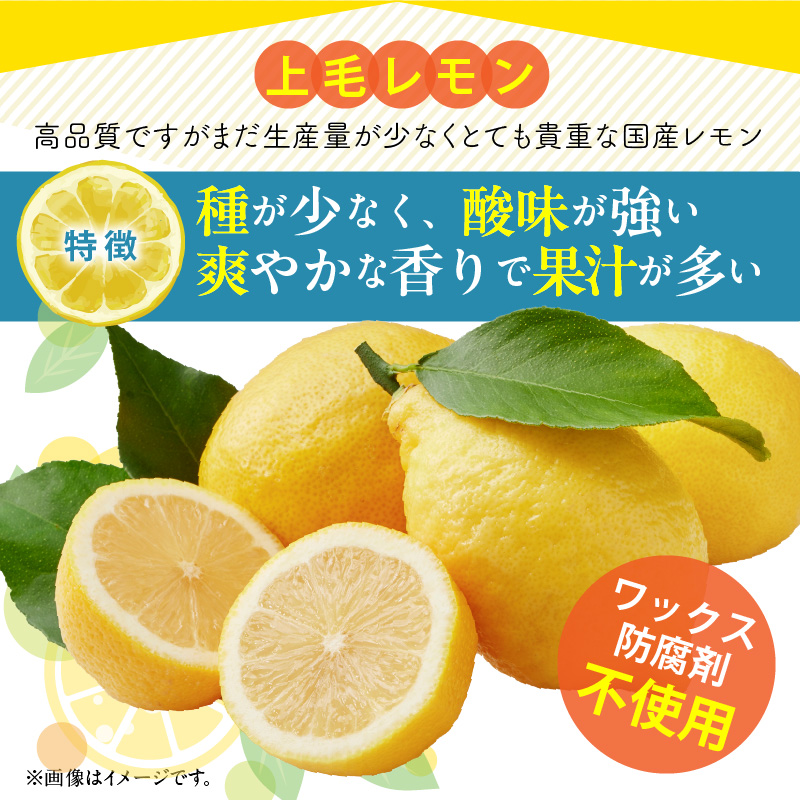 上毛町産レモン 訳ありB級品 2kg K06306