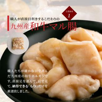 ぶどうの樹　九州産和牛マル腸　もつ鍋炊き餃子【3～4人前】KG0204