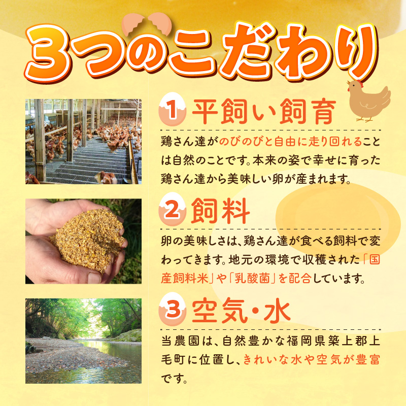 平飼い卵 なちゅら 30個 KJF0106