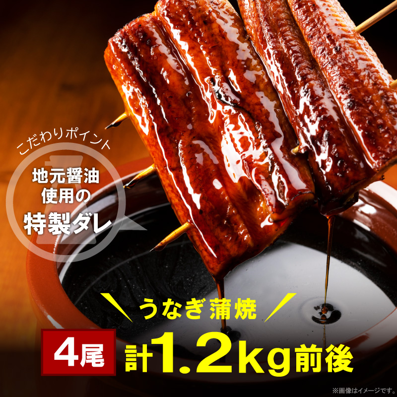 うなぎの蒲焼ビッグサイズ 4尾（計1.2kg前後） KP9406