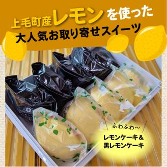 上毛町産レモンを使ったふわふわレモンケーキ&黒レモンケーキ・サクふわレモンタルトのセット　KT1002