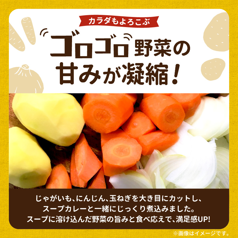 【ナチュラルファーム菓樹】農園野菜スープカレー 3個セット NK0106