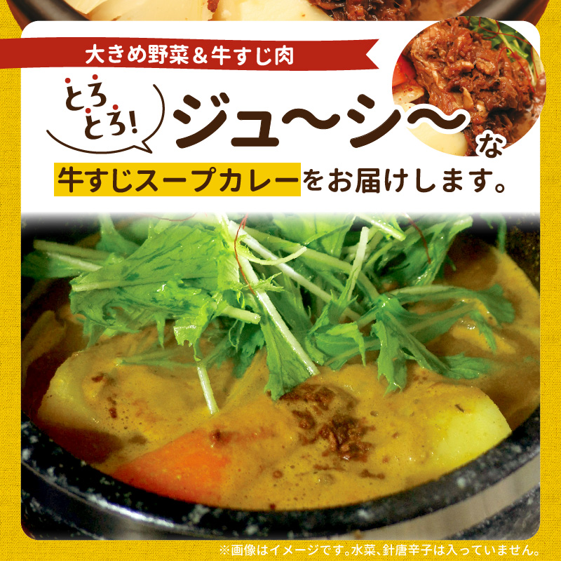 【ナチュラルファーム菓樹】牛すじスープカレー 3個セット NK0406