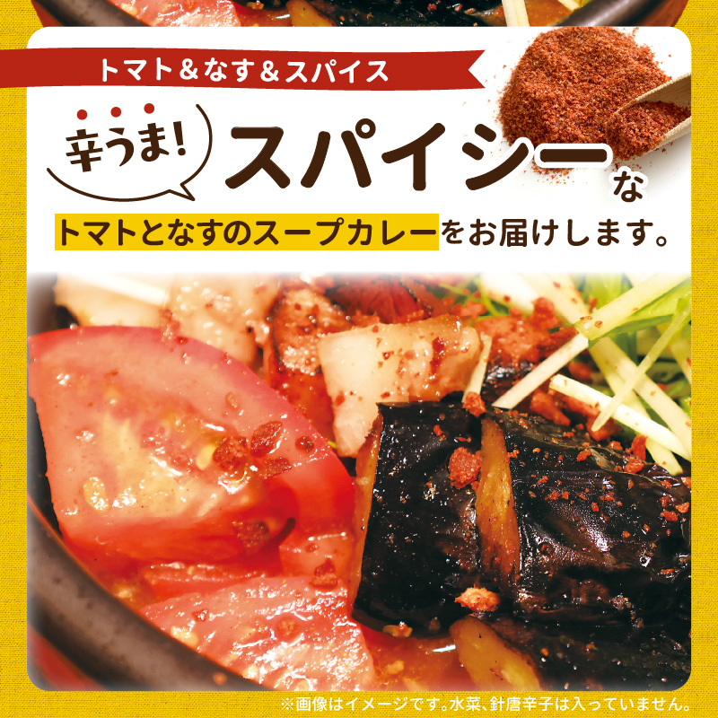 【ナチュラルファーム菓樹】トマトとなすのスープカレー 3個セット NK0506