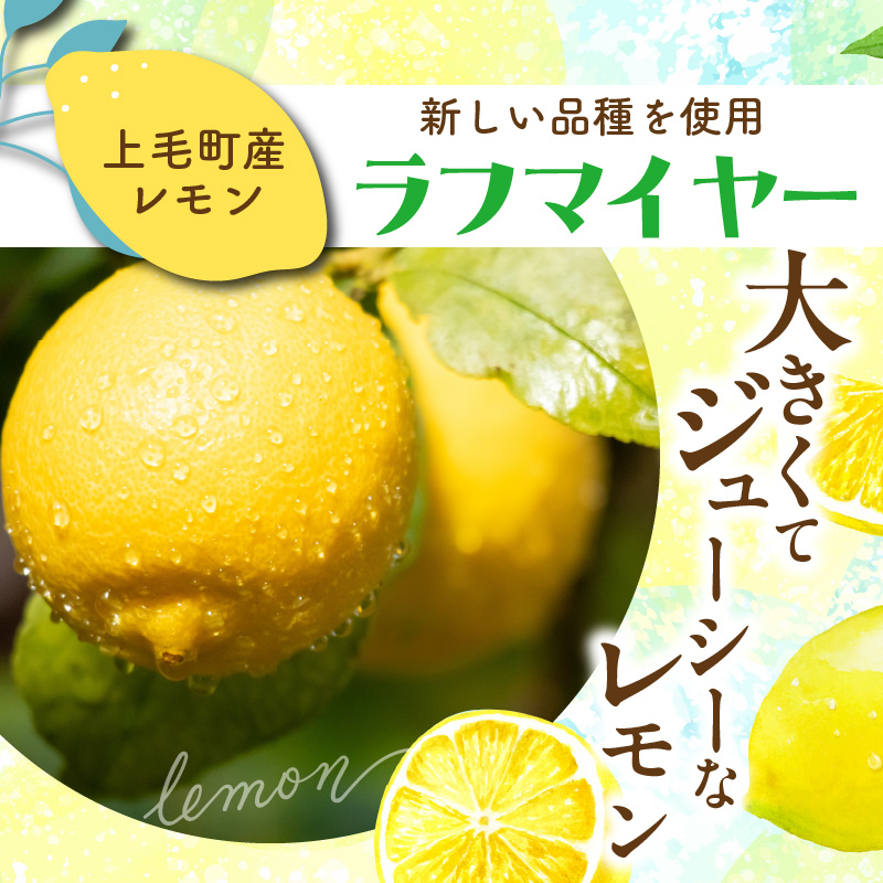 【ナチュラルファーム菓樹】レモンケーキ 10個（5個入×2箱）～上毛町産レモン使用～  NK1106