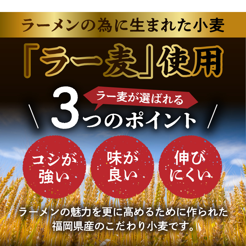 こだわりの味！ 博多極旨 豚骨ラーメン（生めん）15食セット PC5106