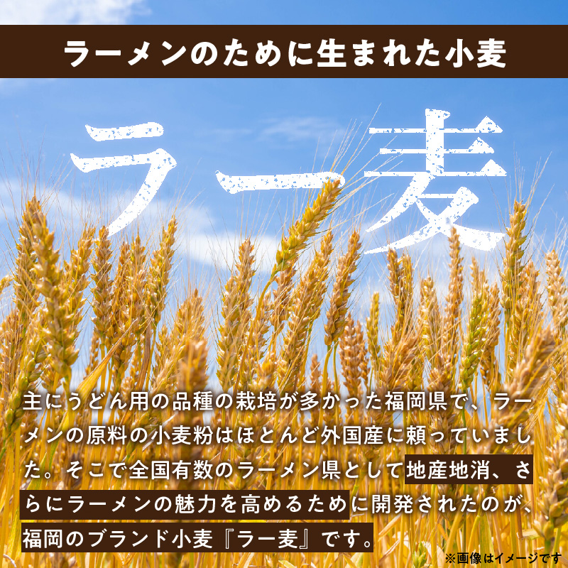 ラー麦一番 25㎏　PC7006