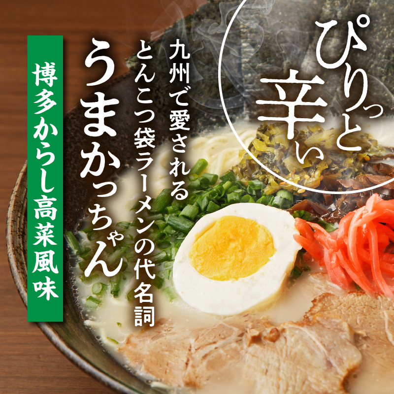 豚骨ラーメン うまかっちゃん 博多からし高菜風味 60食セット（5袋パック×12セット） PC8806