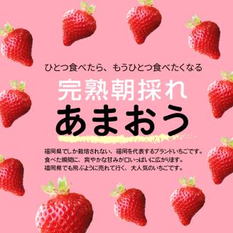 【ふるさと納税】採れたて 出荷 完熟朝採れ いちご あまおう(1月から順次発送) 270g × 4パック 約 1080g ブランドいちご 人気 真っ赤 完熟 爽やか 甘み みずみずしい 果物 フルーツ デザート お取り寄せグルメ 冷蔵 らんらんふぁーむ 福岡県 上毛町産 送料無料