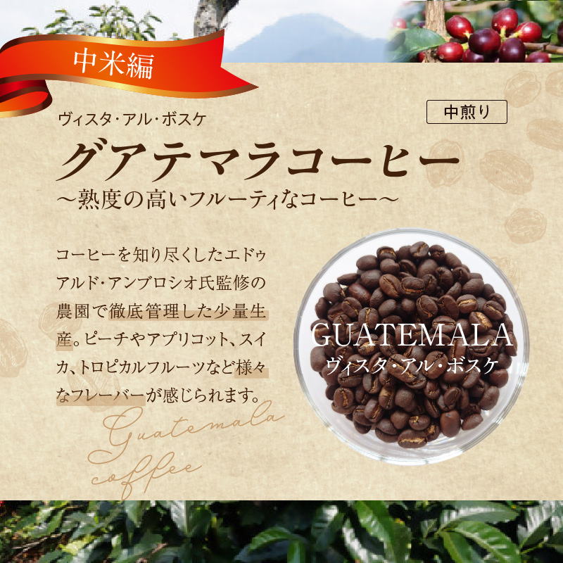 風味際立つ　手鍋焙煎コーヒー豆(中米編)200g×2袋 SC0207