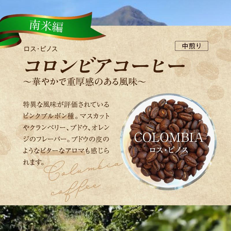 風味際立つ　手鍋焙煎コーヒー豆(南米編)200g×2袋 SC0307