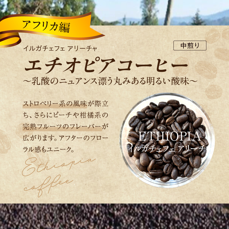 風味際立つ　手鍋焙煎コーヒー豆(アフリカ編)200g×2袋 SC0407