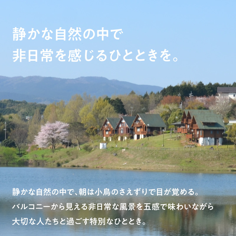 大池公園ログハウス1泊2日ファミリー宿泊券（土日祝日利用可最大4名様） T00407