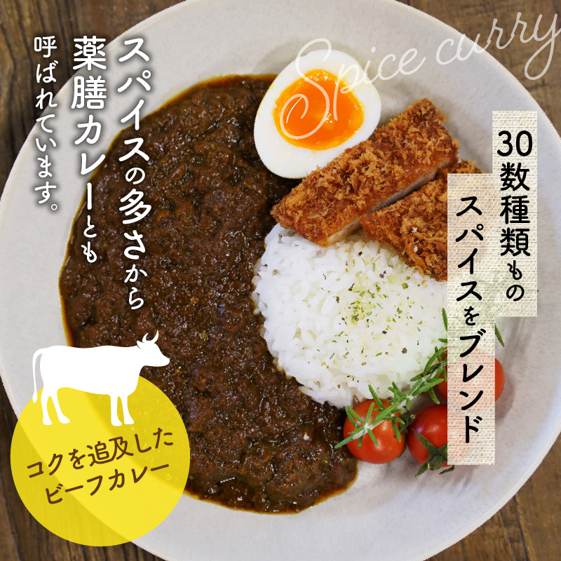カレーハウスあんくるの冷凍ビーフカレー1kg（200g×5袋）T05604