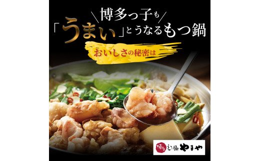 やまや　博多もつ鍋　あごだし醤油味（3～4人前）　TY0801