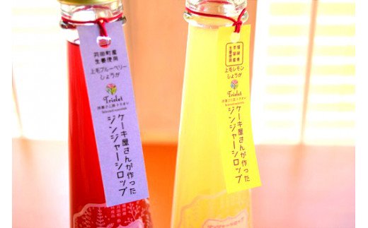 【上毛町産ブルーベリー＆レモン使用】ジンジャーシロップ 2本セット　KT0302