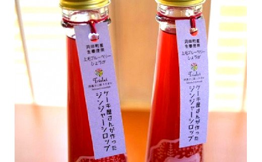 【上毛町産ブルーベリー使用】ジンジャーシロップ 2本セット　KT0502