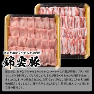 【ブランド豚肉】お米育ちの錦雲豚　しゃぶしゃぶギフト　600g（ロース300g・バラ300g）　FN0101