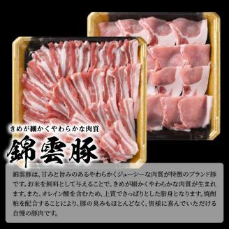 【ブランド豚肉】お米育ちの錦雲豚　焼肉ギフト　600g（ロース300g・バラ300g）　FN0201