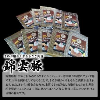 【ブランド豚肉】お米育ちの錦雲豚　お肉屋さんの手作りハンバーグ１０個　FN0802