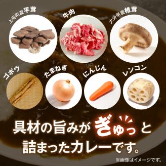 ビーフスパイスカレー3個セット T07205