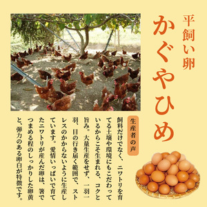 放し飼いたまご『かぐやひめ』40個【福岡上毛町産】C01504