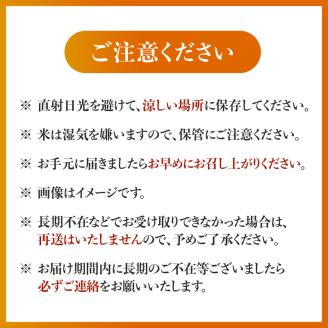 福岡県産ブランド米　夢つくし「豊築宝(ゆきほ)」10㎏（5kg×2袋）　CA0901