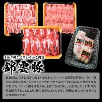 【ブランド豚肉】お米育ちの錦雲豚ギフト（しゃぶしゃぶ用1kg）とハム類のセット　FN0301