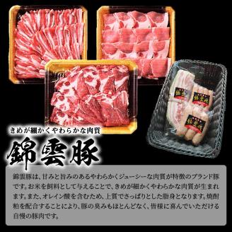 【ブランド豚肉】お米育ちの錦雲豚ギフト（焼肉用1kg）とハム類のセット　FN0401