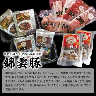 【ブランド豚肉】お米育ちの錦雲豚バラエティギフト（ハム類・餃子・ハンバーグ・カレーのセット）　FN0601