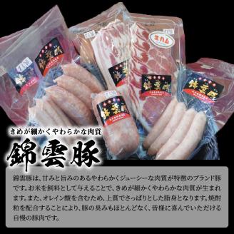 【ブランド豚肉】お米育ちの錦雲豚　絶品！生ハムとソーセージセット　FN1002