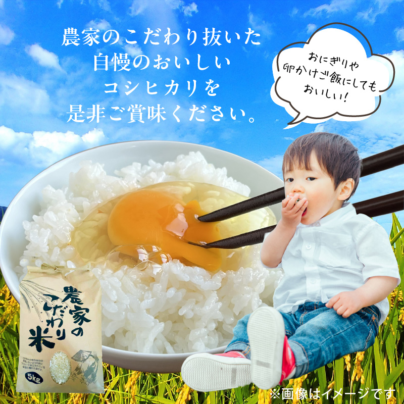 【先行受付】令和7年産 上毛町産 東農園のこだわり米 コシヒカリ 5kg HGS0207