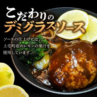 大容量！デミグラスソースハンバーグ 150ｇ×20個セット 【数量限定】 高評価 デミグラスソース ハンバーグ セット 150g 20個 個包装 便利 時短 湯煎 ボイル 電子レンジ 簡単 調理 おかず お弁当 おつまみ 冷凍 食べ物 加工品 お取り寄せグルメ 福岡県 上毛町 送料無料 K04404 