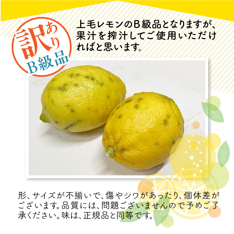 上毛町産レモン 訳ありB級品 2kg K06306