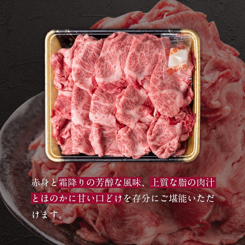 博多和牛 切り落とし 500g　KJ0606