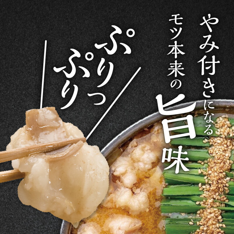 博多もつ鍋前田屋　もつ鍋セット　みそ味2～3人前　KLM0104