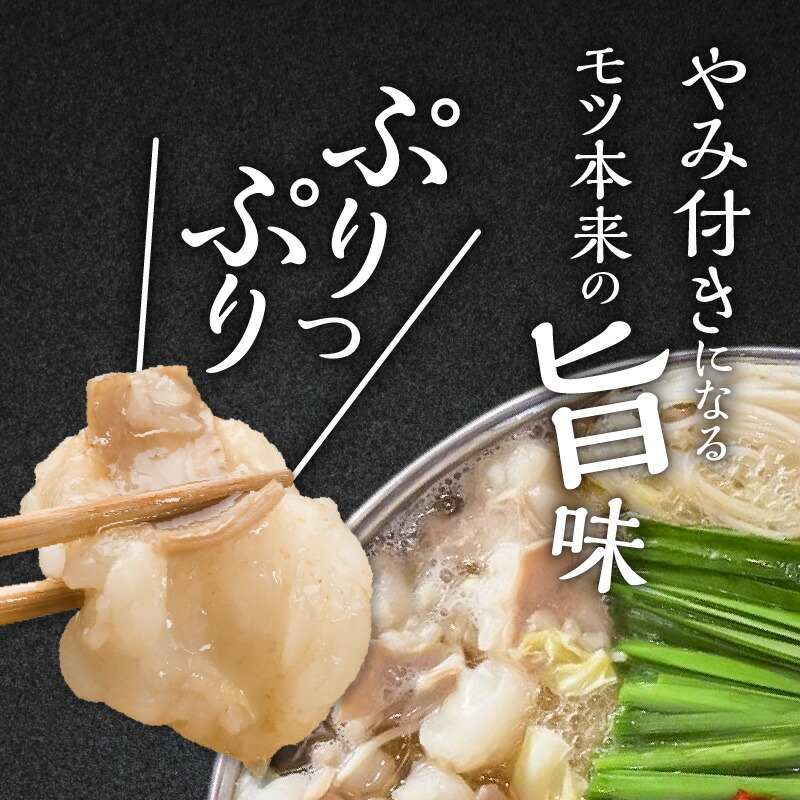 博多もつ鍋前田屋　もつ鍋セット　しょうゆ味2～3人前　KLM0204