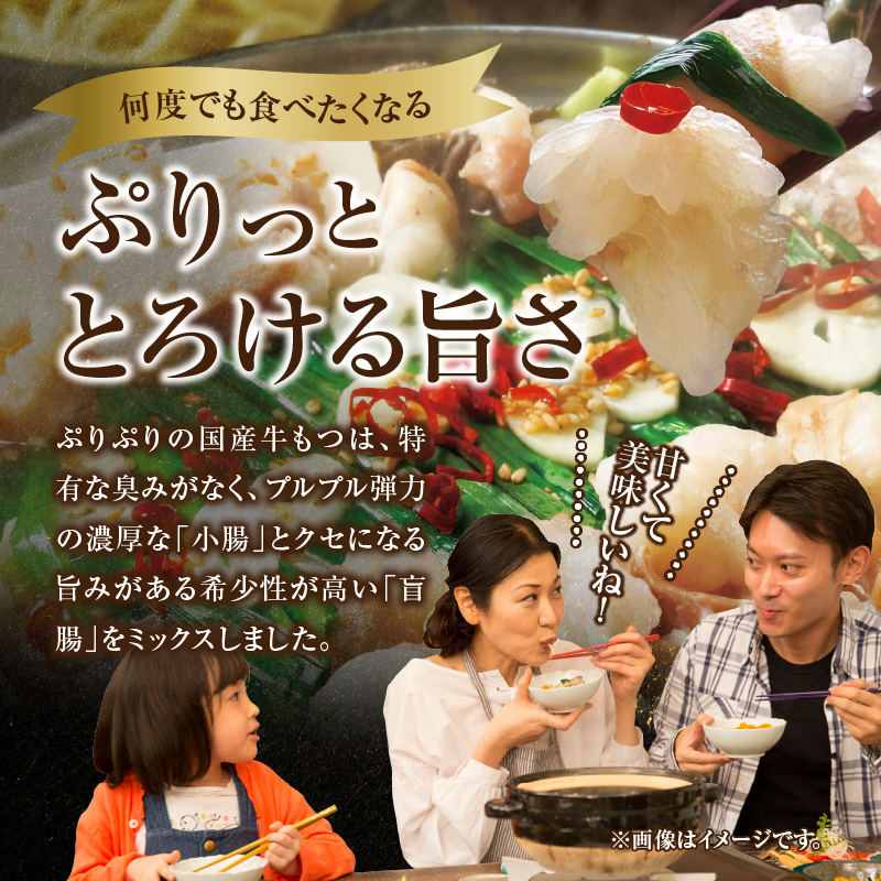 まるいち 博多牛もつ鍋セット 4人前 KMS0506