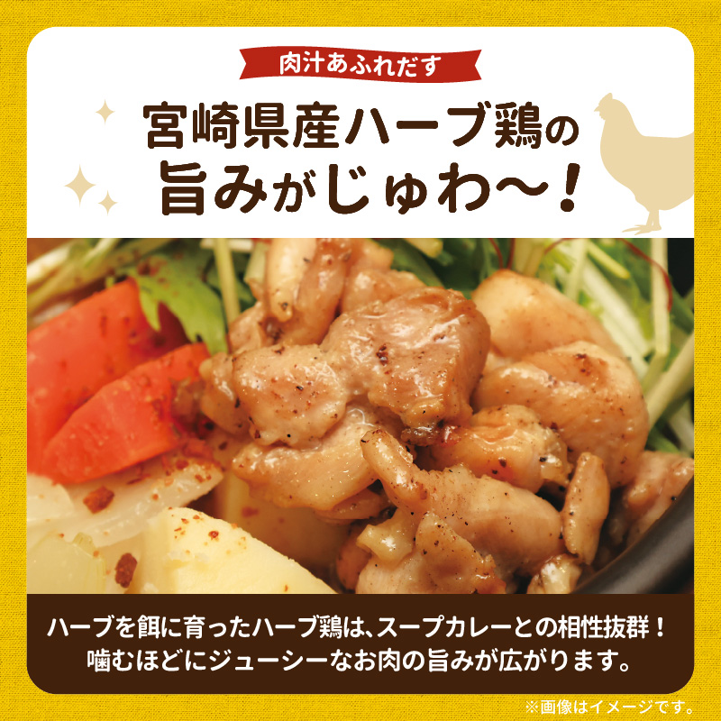 【ナチュラルファーム菓樹】農園野菜とハーブ鶏のスープカレー 3個セット NK0306