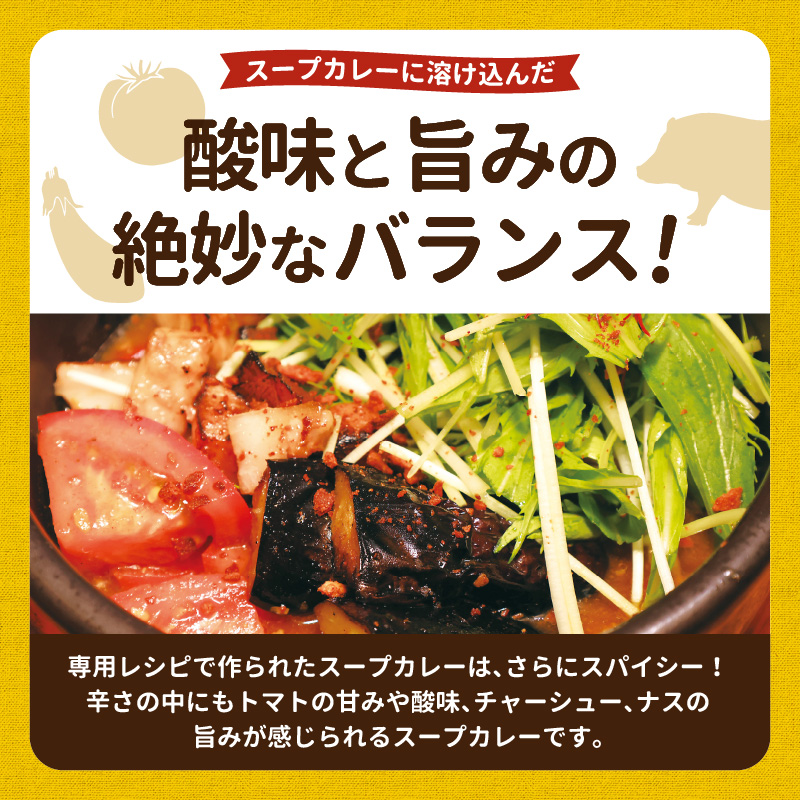 【ナチュラルファーム菓樹】トマトとなすのスープカレー 3個セット NK0506