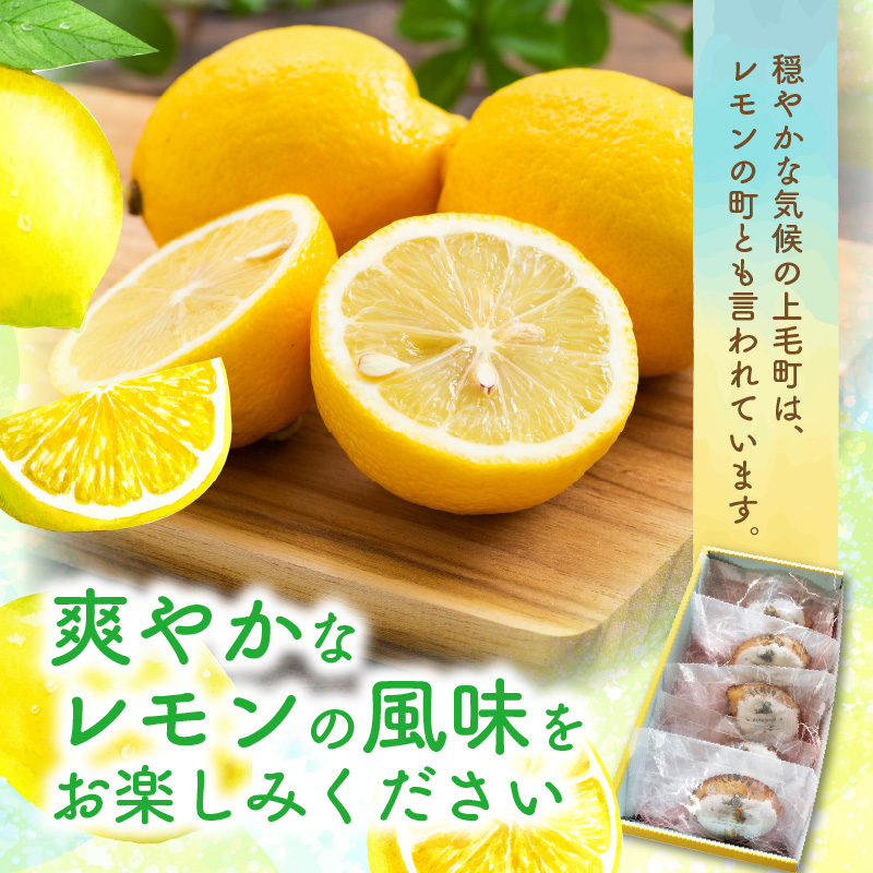 【ナチュラルファーム菓樹】レモンケーキ 10個（5個入×2箱）～上毛町産レモン使用～  NK1106