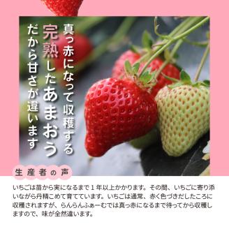 【ふるさと納税】 採れたて 出荷 完熟朝採れ いちご あまおう 270g × 8パック 計 約 2160g 福岡 代表 ブランドいちご 人気 真っ赤 完熟 爽やか 甘み みずみずしい 果物 フルーツ デザート お取り寄せ お取り寄せグルメ 冷蔵 福岡県 上毛町産 送料無料