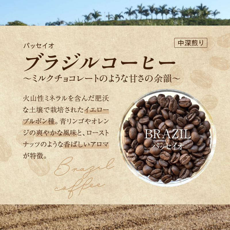 風味際立つ　手鍋焙煎コーヒー豆(南米編)200g×2袋 SC0307