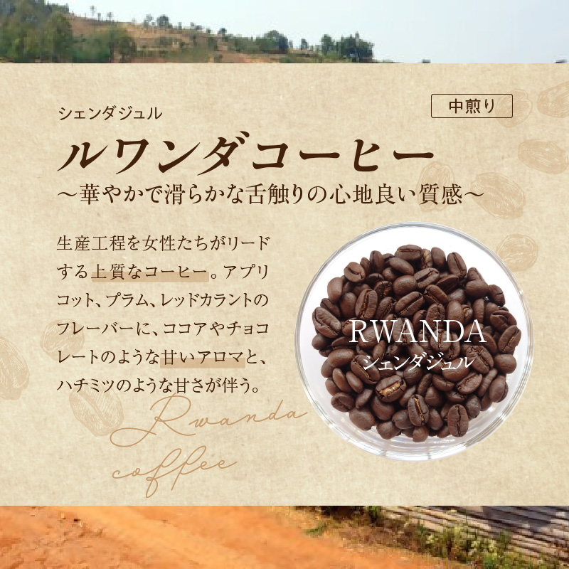 風味際立つ　手鍋焙煎コーヒー豆(アフリカ編)200g×2袋 SC0407