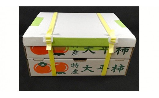 旬の味覚「大平柿」6kg 　T03401