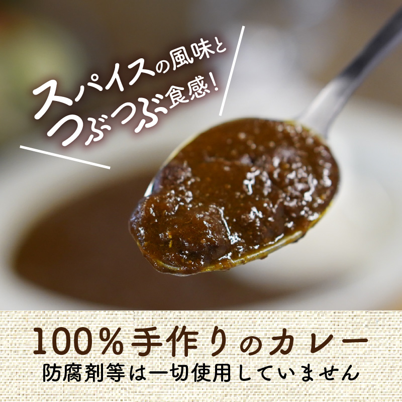 カレーハウスあんくるの冷凍ビーフカレー1kg（200g×5袋）T05604