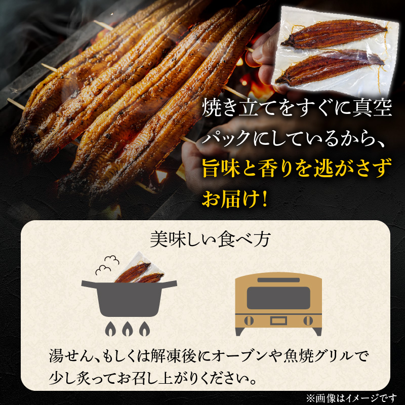 国産うなぎの蒲焼き　大サイズ×2尾 T08106