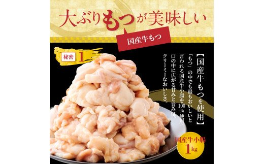 やまや　博多もつ鍋　あごだし醤油味（3～4人前）　TY0801